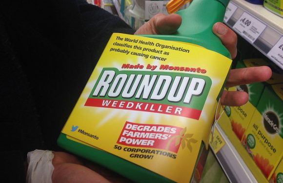 Interdiction du glyphosate : une décision sous influence ?