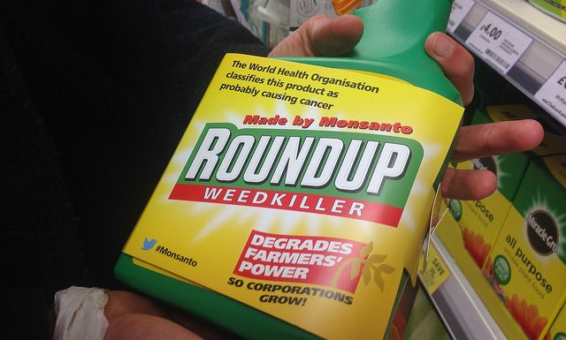 Interdiction du glyphosate : une décision sous influence ?