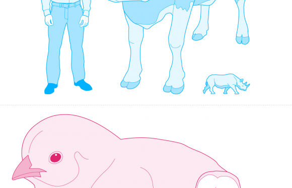 Humans just 0.01% of all life but have destroyed 83% of wild mammals – study