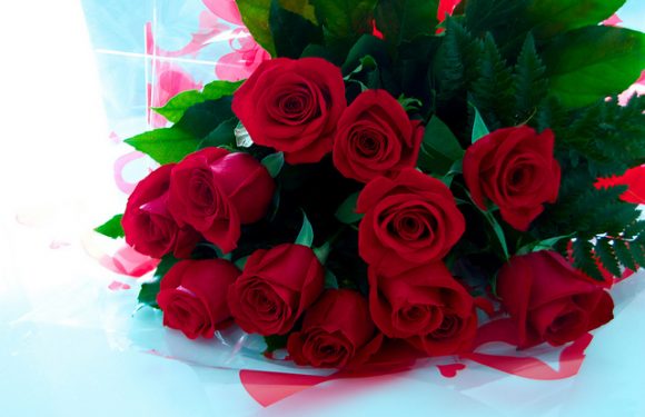 Le prix des roses de la Saint-Valentin