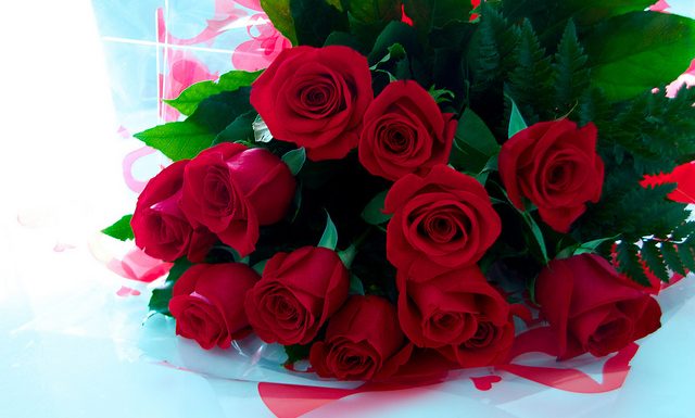 Le prix des roses de la Saint-Valentin