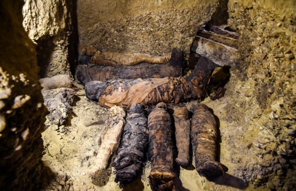 INCROYABLE ! Des dizaines de momies âgées de plus de 2000 ans découvertes en Egypte (Vidéo + Photos)