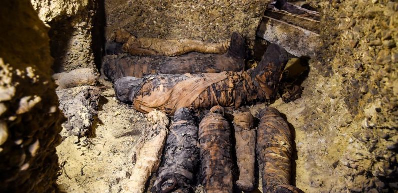 INCROYABLE ! Des dizaines de momies âgées de plus de 2000 ans découvertes en Egypte (Vidéo + Photos)