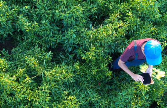 6 projets inspirants pour (vraiment) changer le monde