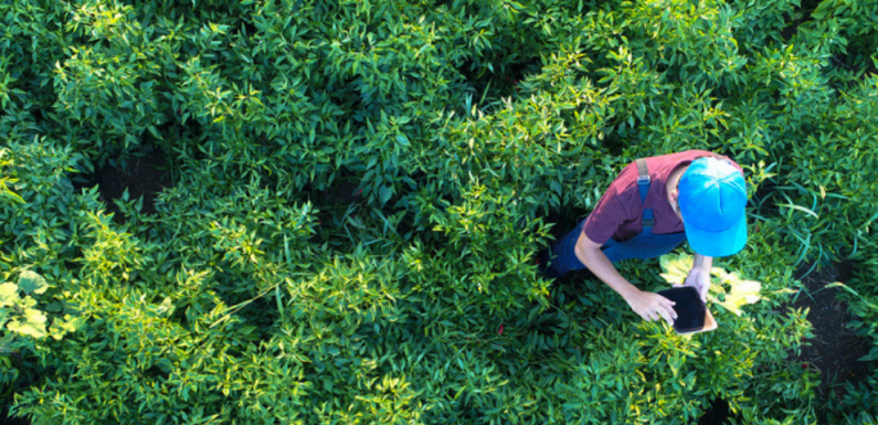 6 projets inspirants pour (vraiment) changer le monde