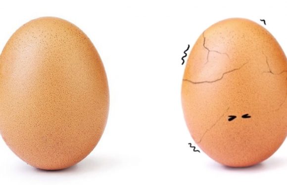 L’œuf star d’Instagram vient d’éclore et ce qui se cache derrière est beaucoup plus important qu’il n’y paraît