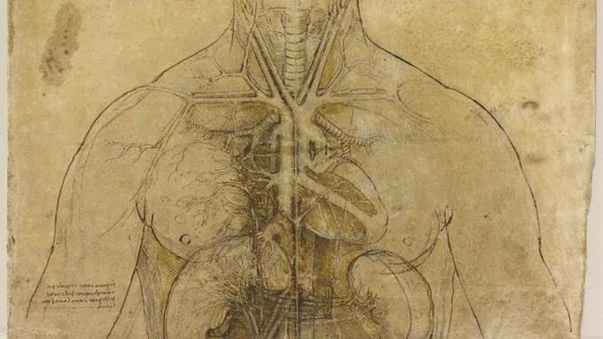 Une exceptionnelle empreinte de Léonard de Vinci retrouvée sur un dessin anatomique