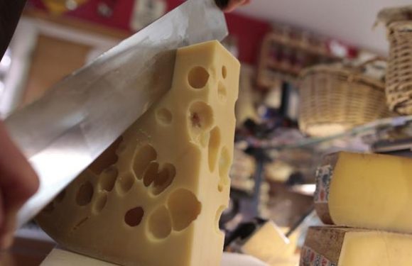 Une fromagerie vegan ne peut plus appeler ses produits «fromages»