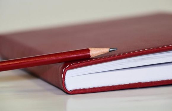 Ces fautes d&rsquo;orthographe et de grammaire à éradiquer