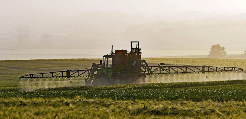 Découverte d’une alternative au glyphosate 100 % naturelle et écologique… à base de sucre !