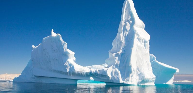 Des super-bactéries résistantes aux antibiotiques retrouvées jusque dans l’Arctique