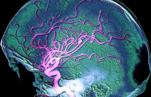 Une importante découverte réalisée à Toulouse pourrait permettre de ralentir la maladie d&rsquo;Alzheimer