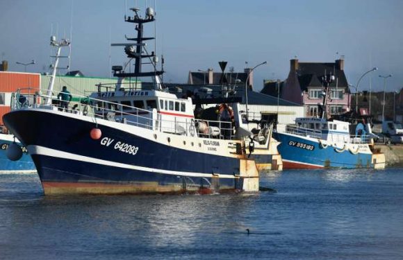 Accord politique pour interdire la pêche électrique dans l’UE en 2021