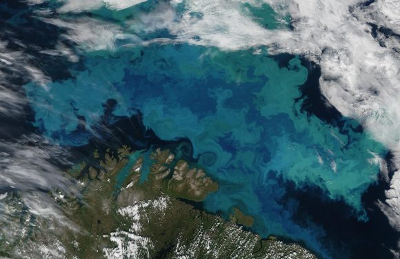 Climate change is altering the color of the oceans