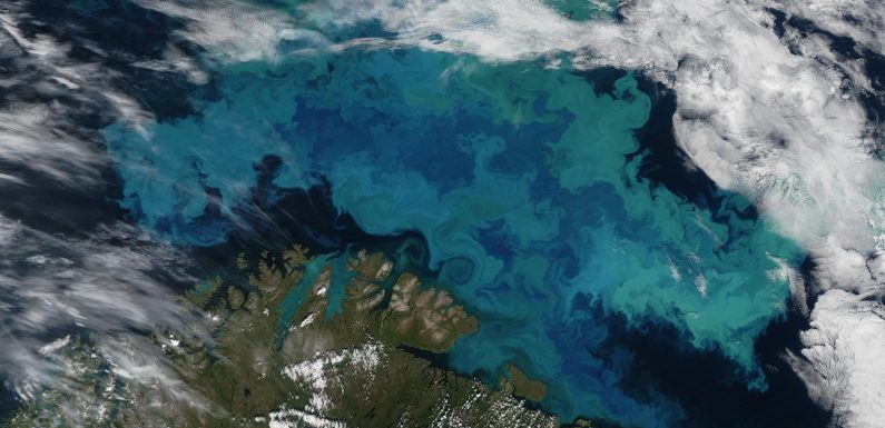 Climate change is altering the color of the oceans