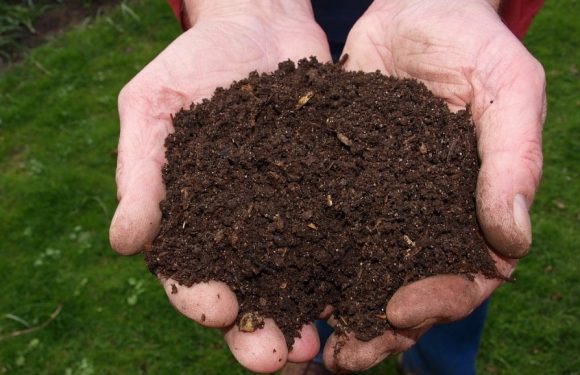 Montpellier retire le plastique des cantines : un grand pas pour la nature et la santé des enfants