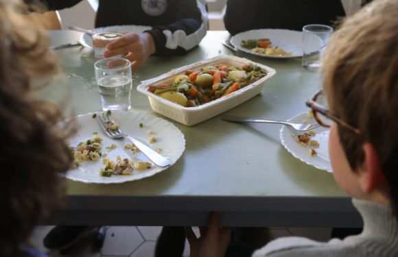 Montpellier passe aux barquettes biocompostables dans ses cantines scolaires