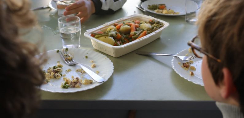 Montpellier passe aux barquettes biocompostables dans ses cantines scolaires