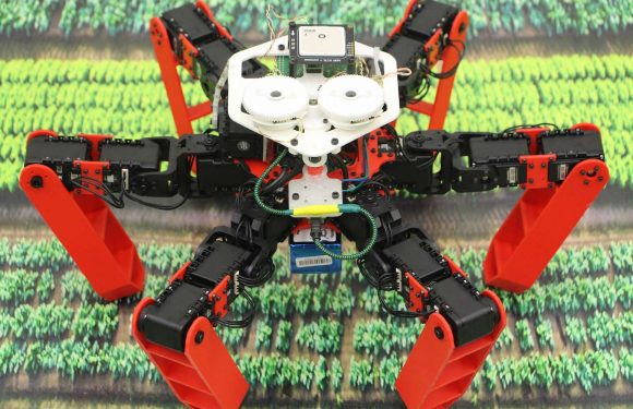 Voici Antbot, un robot inspiré des fourmis et qui se déplace sans GPS