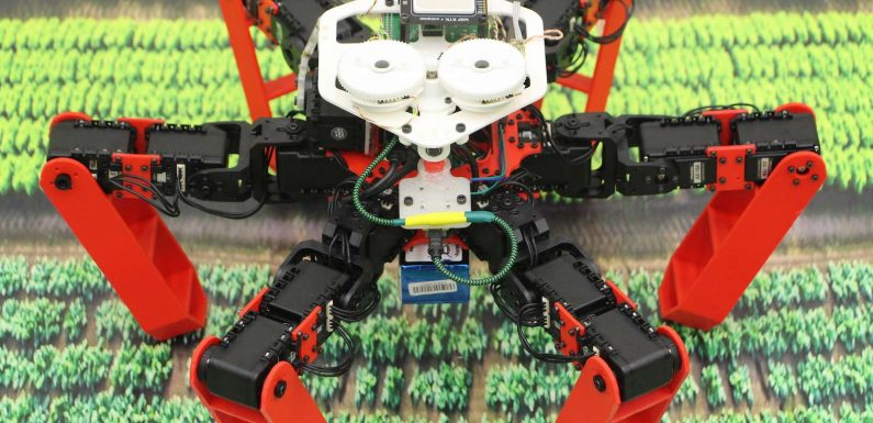Voici Antbot, un robot inspiré des fourmis et qui se déplace sans GPS