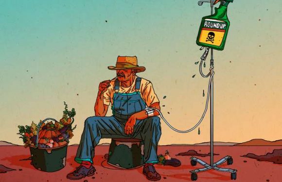 Glyphosate : une étude montre une nette augmentation du risque de lymphome