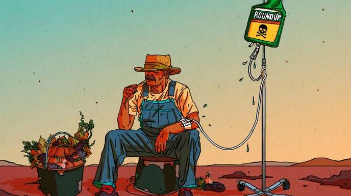 Glyphosate : une étude montre une nette augmentation du risque de lymphome