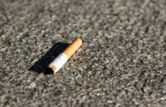 La Mairie de Paris veut instaurer dans « rues sans mégots » dans tous les arrondissements