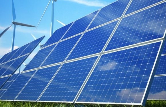 L’Inde et la Chine ont replanté une surface équivalente à celle de l’Amazonie