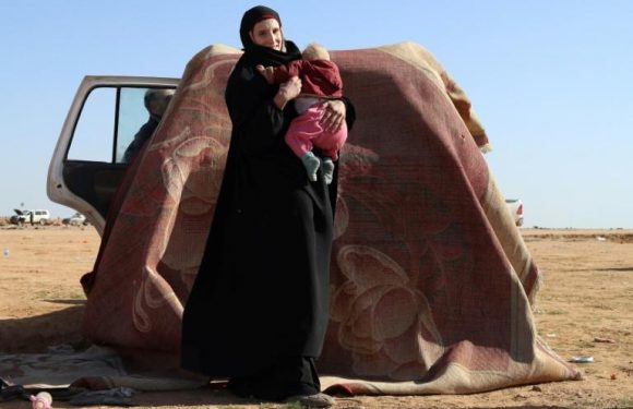 Syrie: après avoir rallié l’EI à 15 ans, elle veut rentrer en Allemagne