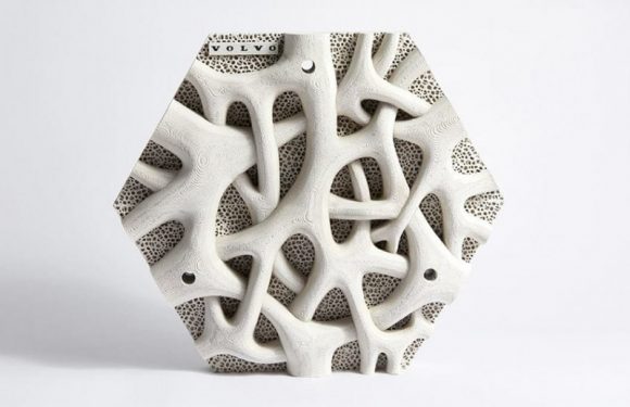 Australie : un « mur vivant » pour dépolluer l&rsquo;océan