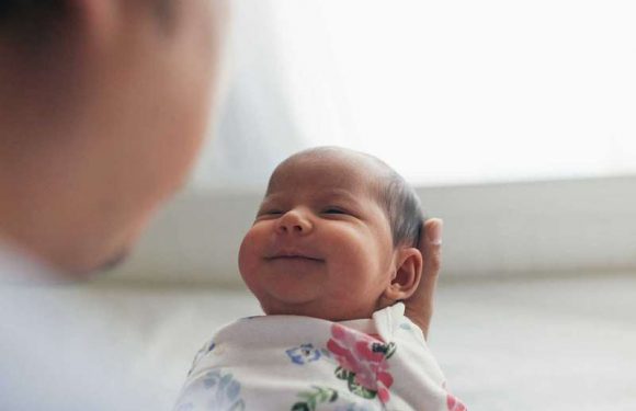 The truth about intelligence: What makes someone smarter than others?