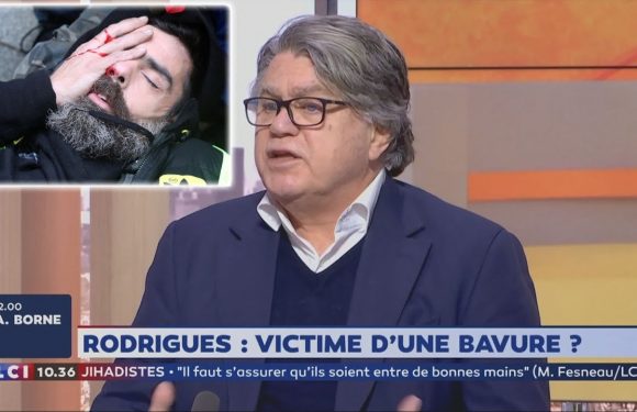 Gilbert Collard : «Castaner ne démissionnera pas car ils se sont créés une rhétorique mortifère selon laquelle ils peuvent arracher des mains ou crever des yeux au nom de l’ordre»