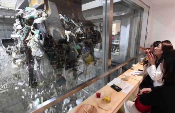 Radical mais efficace : un bar avec vue sur les déchets pour promouvoir le recyclage au Japon