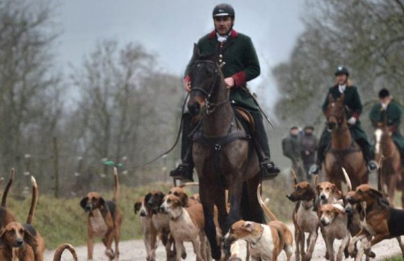 Tarn : face à face tendu entre des aficionados de la chasse à courre et des défenseurs des animaux