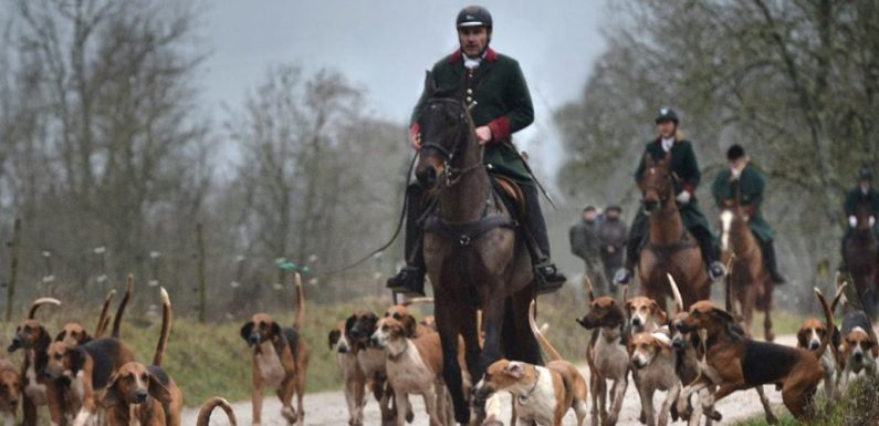 Tarn : face à face tendu entre des aficionados de la chasse à courre et des défenseurs des animaux