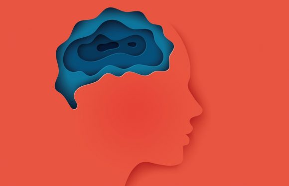 Le stress rétrécit le cerveau