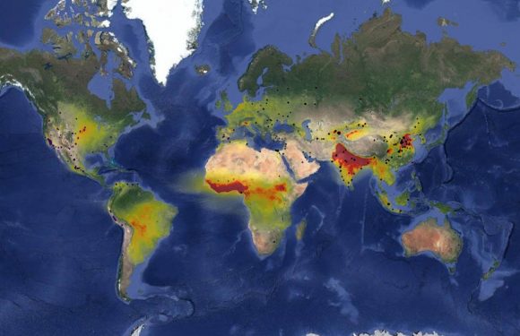 Une carte mondiale des émissions d’ammoniac