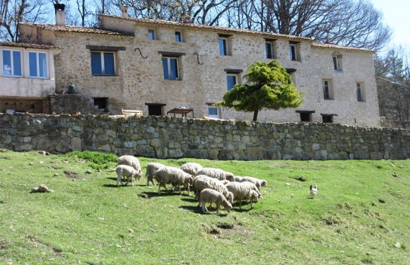 Un couple transforme un domaine abandonné de 115 hectares en une réserve sauvage unique
