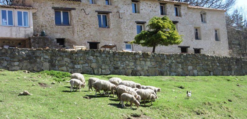 Un couple transforme un domaine abandonné de 115 hectares en une réserve sauvage unique