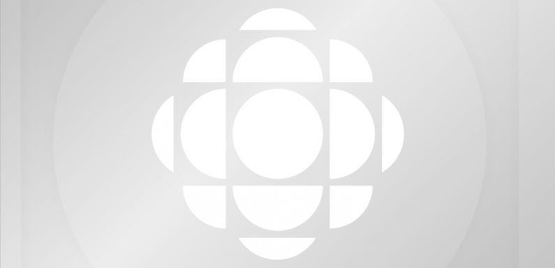 Trump va déclarer l’état d’urgence pour construire son mur