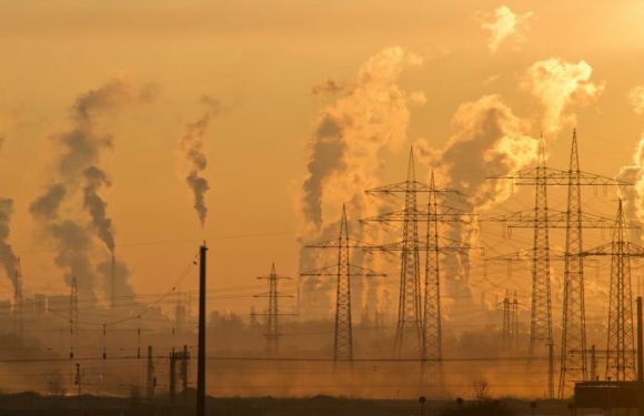 Chicago, Abu Dhabi, New Delhi… ces 10 villes majeures pourraient devenir inhabitables d’ici 2100