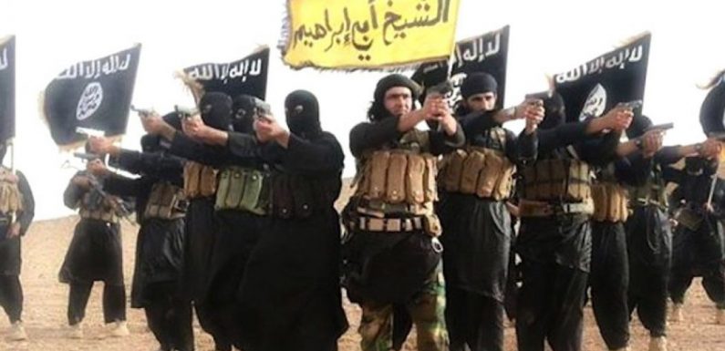 Daech : l’assaut final contre le dernier carré a été lancé