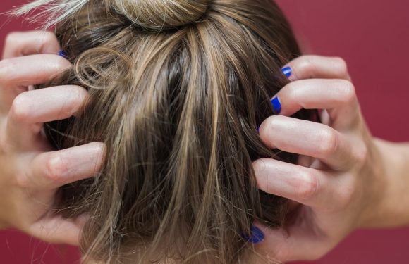 5 raisons qui expliquent les démangeaisons de la tête