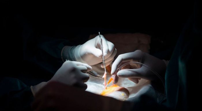 Des organes prélevés sur des prisonniers chinois auraient servi à 400 publications scientifiques