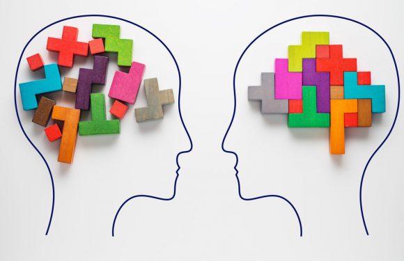 Le cerveau des femmes vieillit moins vite que celui des hommes
