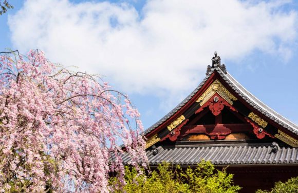 Le Japon offre des maisons pour repeupler ses campagnes