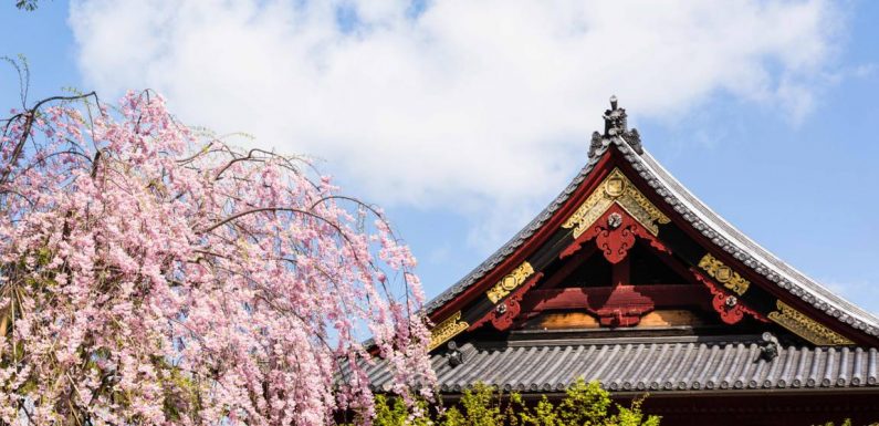 Le Japon offre des maisons pour repeupler ses campagnes