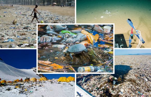 [Danger plastique] Des photos choquantes qui montrent l’ampleur du désastre