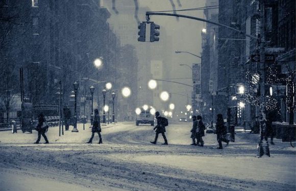 Les sels de déneigement, cette arme de destruction massive pour les écosystèmes
