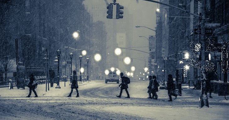 Les sels de déneigement, cette arme de destruction massive pour les écosystèmes